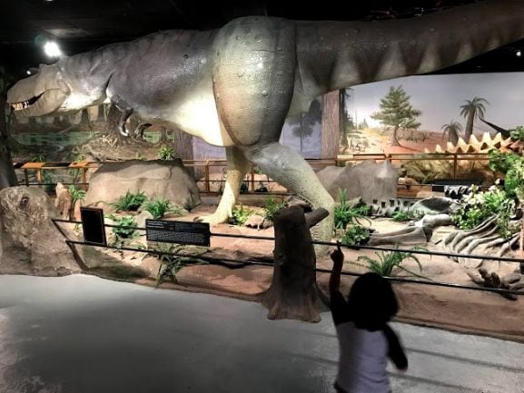 Las Vegas Natural History Museum-2